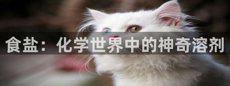 威九國(guó)際網(wǎng)站下載