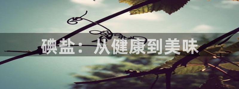威九國際精