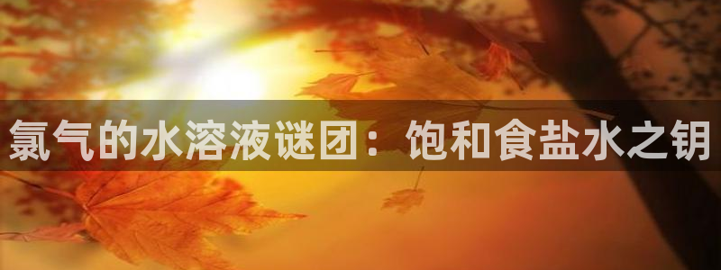 威九國際網(wǎng)站入口地址