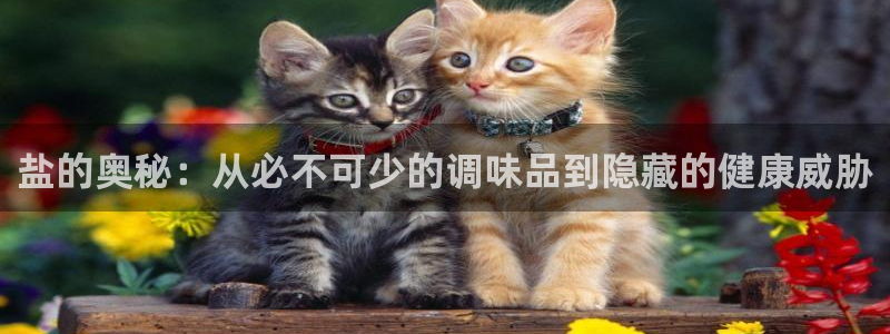 威九國(guó)際真人游戲