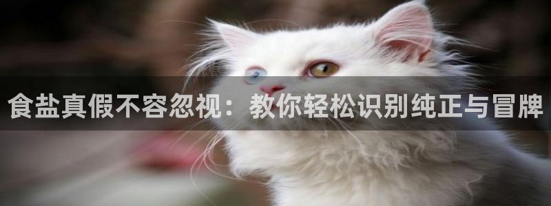 威九國(guó)際Sxsx