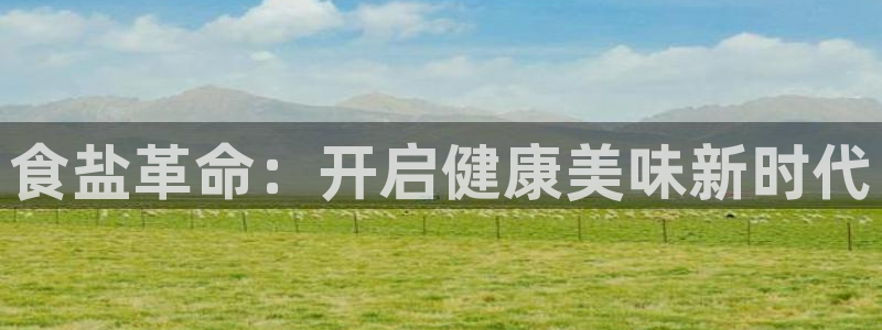 威九國際vA9618