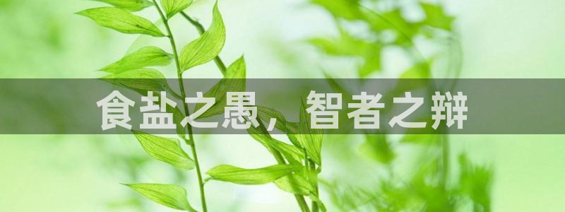 威九國際韓國