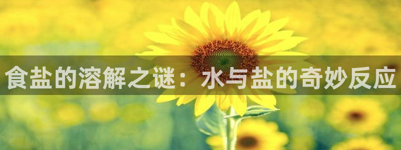 威九國際精選