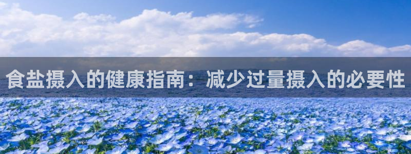 威九國際網(wǎng)站怎么樣