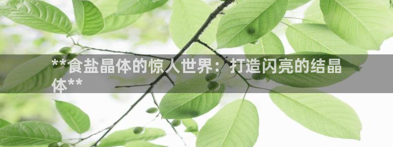 威九國際成長模式