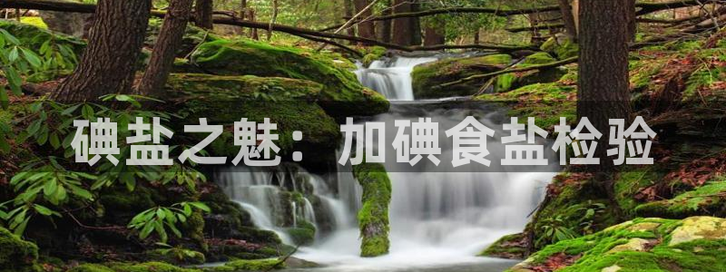 威九國際網(wǎng)站客服電話多少啊