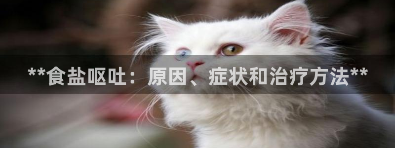 威九國(guó)際的演員