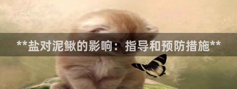 78mapp威九國際官網(wǎng)