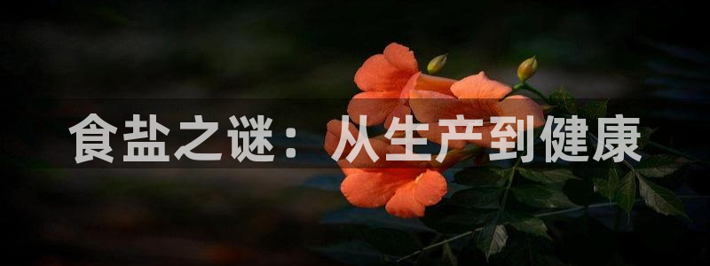 威九國際com