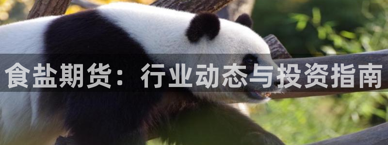 威九國(guó)際PPT