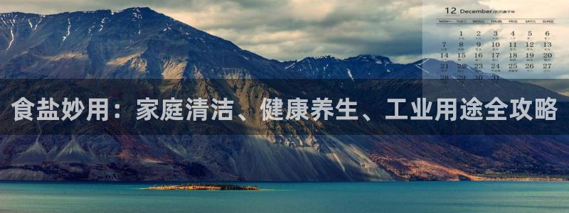 威九國際APP入口