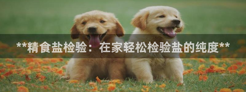 威九國際網(wǎng)站怎么樣