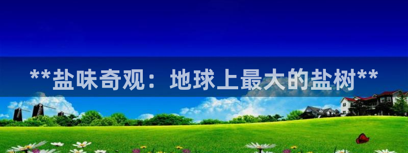 威九國(guó)際安全嗎的認(rèn)證團(tuán)隊(duì)