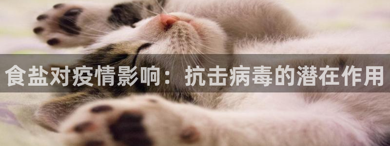 威九國(guó)際小劇場(chǎng)