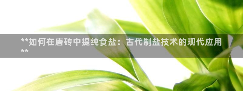 威九國(guó)際66m66m電影