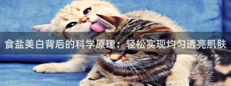 威九國際演員名單