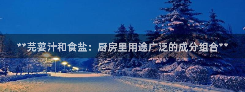威九國(guó)際清磚碼頭在哪