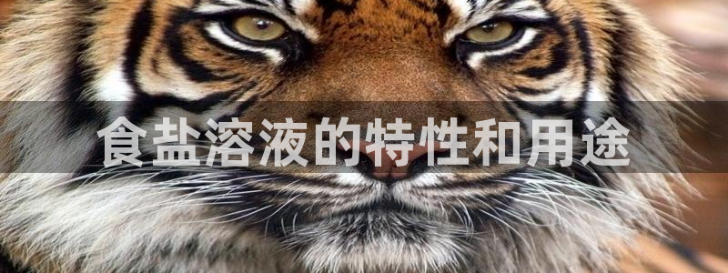 威九國際可以退錢嗎怎么退款