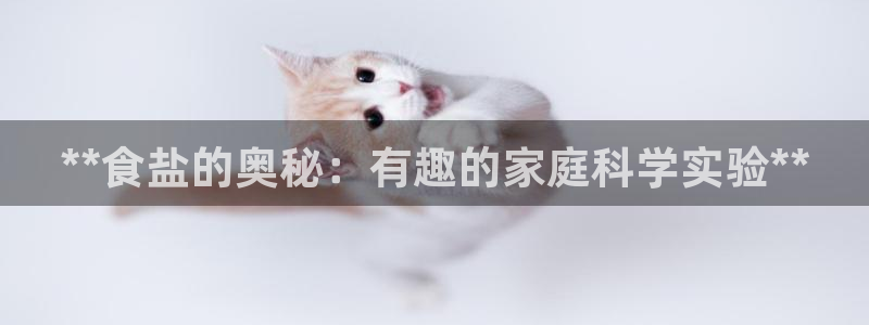 威九國際熱舞