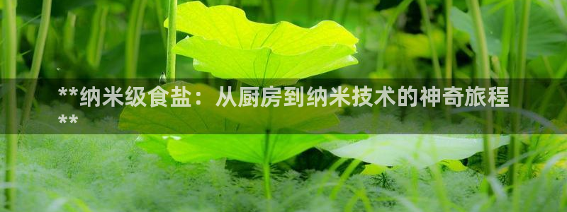 威九國(guó)際客服電話是多少
