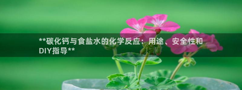 威九國際人民網(wǎng)招聘