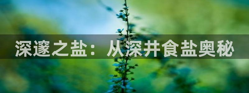 威九國際66cm