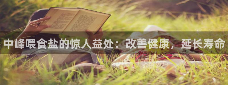 威九國際78M.APP