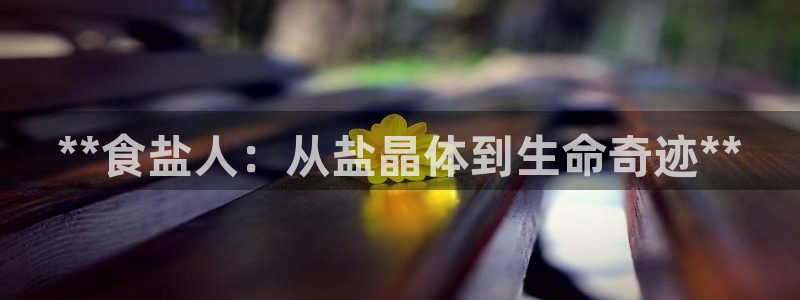 威九國際網(wǎng)站怎么樣