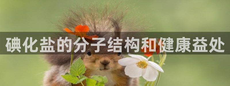 威九國際網(wǎng)站鏈接