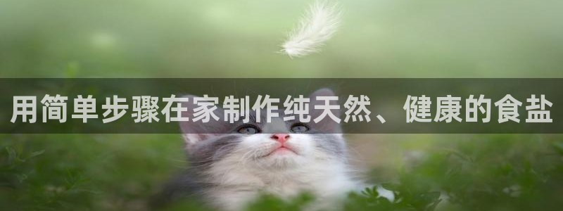 威九國(guó)際app