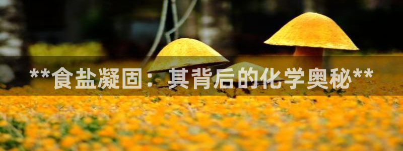 威九國(guó)際66m官網(wǎng)版