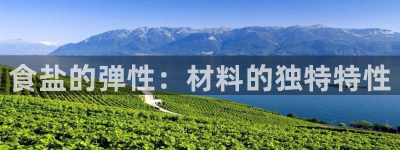 威九國際如何下載