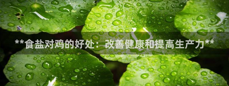 威九國際網(wǎng)站入口地址在哪里