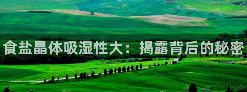 威九國際空降服務(wù)女演員名字