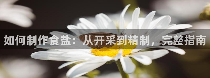 威九國際網(wǎng)站入口官網(wǎng)免費下載