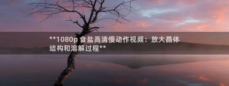 威九國(guó)際軟件公司簡(jiǎn)介