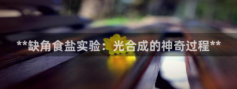 威九國際官網(wǎng)在線進(jìn)入網(wǎng)站查詢網(wǎng)址