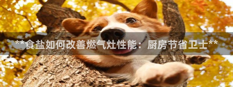 威九國際78m78免費
