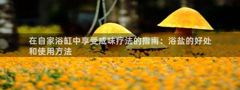 保定威九網絡科技有限公司是干嘛的