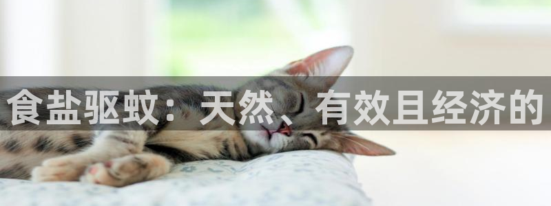 威九國(guó)際取款不會(huì)被騙吧是真的嗎