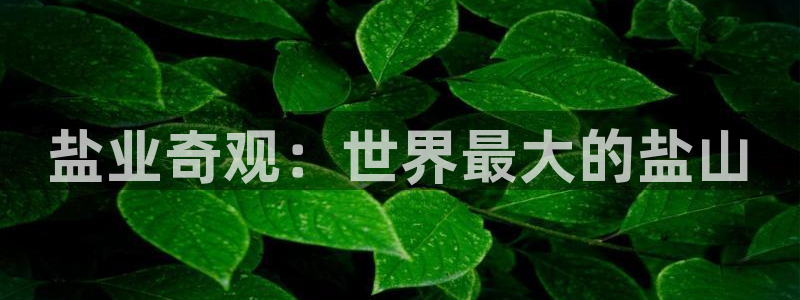 威九國(guó)際取款不會(huì)被騙吧是真的嗎