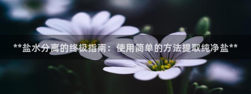 威九國際里的長頭發(fā)帥哥名字