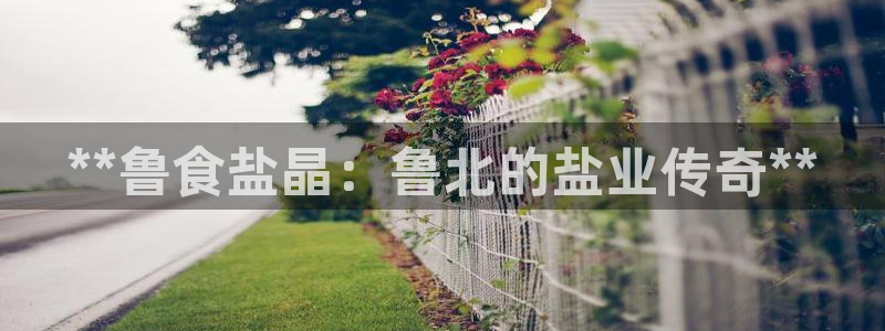 威九國(guó)際宣傳片