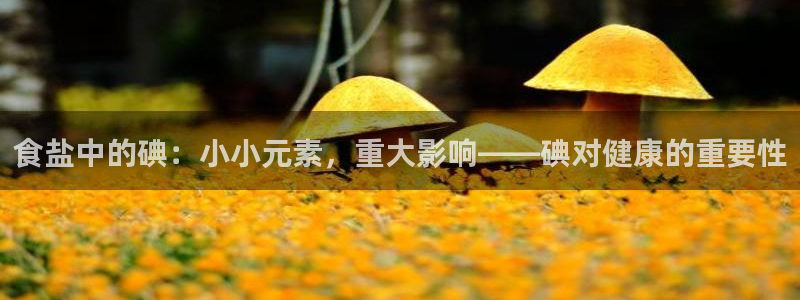 威九國際黃威尼斯