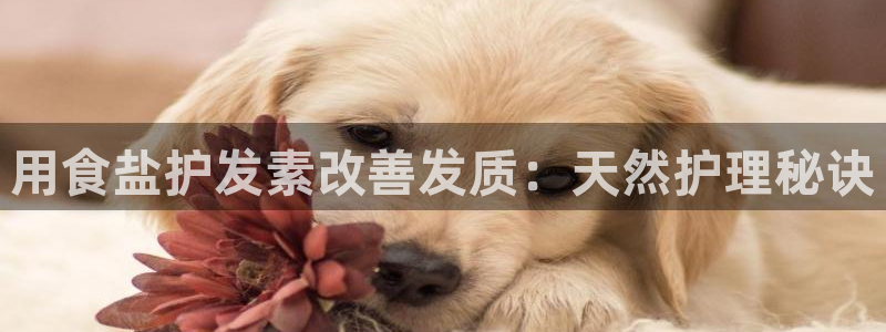 威九國際黑錢