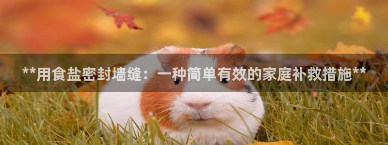 威九國際可以提現嗎
