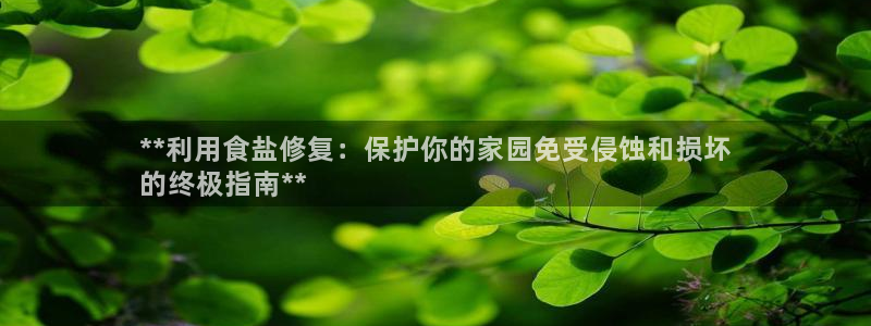 威九國際66在線