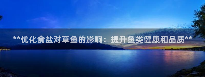 威九國際66m免費(fèi)版