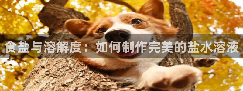 威九國際留學(xué)